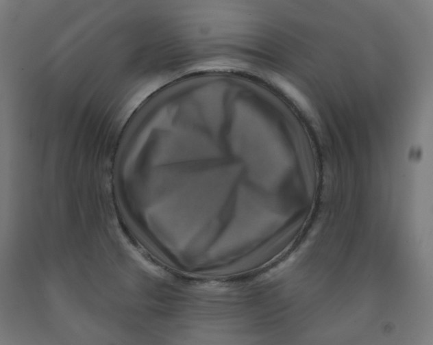 X0000091851329200710031633