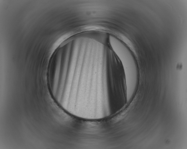 X0000091851330200710031633