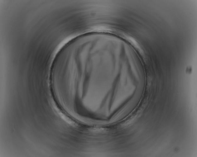 X0000091851331200710031633