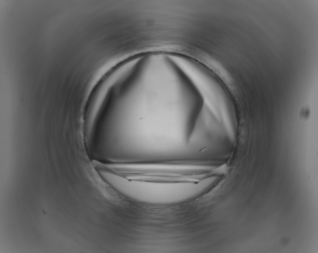 X0000091851332200710031633