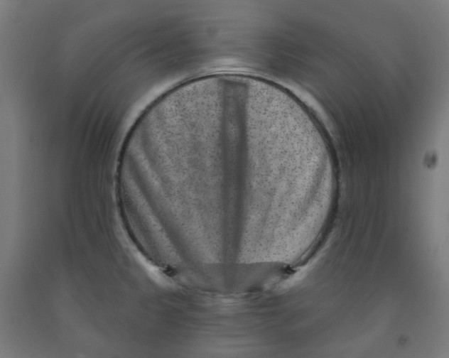 X0000091851333200710031633