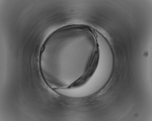X0000091851334200710031633