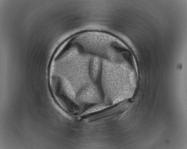 X0000091851335200710031633