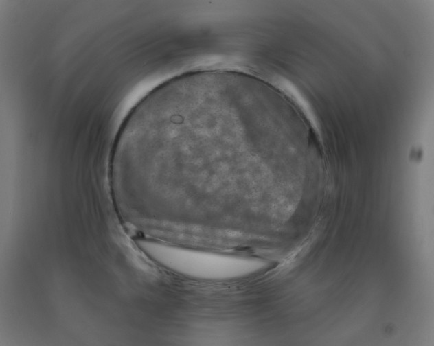 X0000091851336200710031633