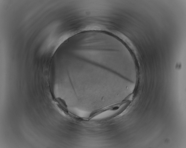 X0000091851337200710031633