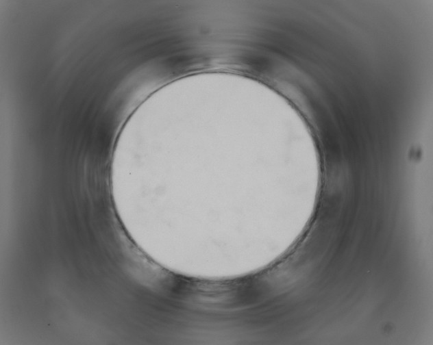 X0000091851338200710031633