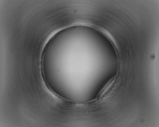 X0000091851339200710031633