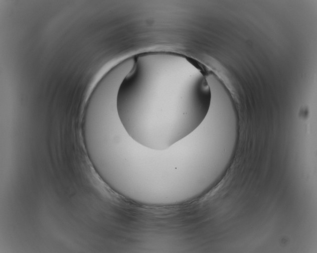 X0000091851340200710031633