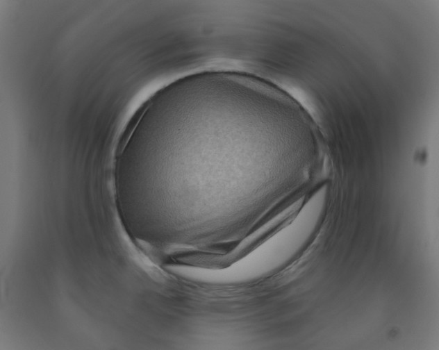 X0000091851342200710031633