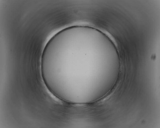 X0000091851343200710031633