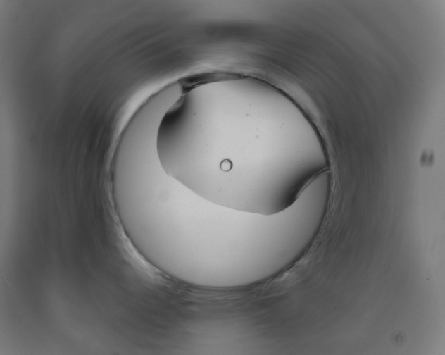X0000091851344200710031633