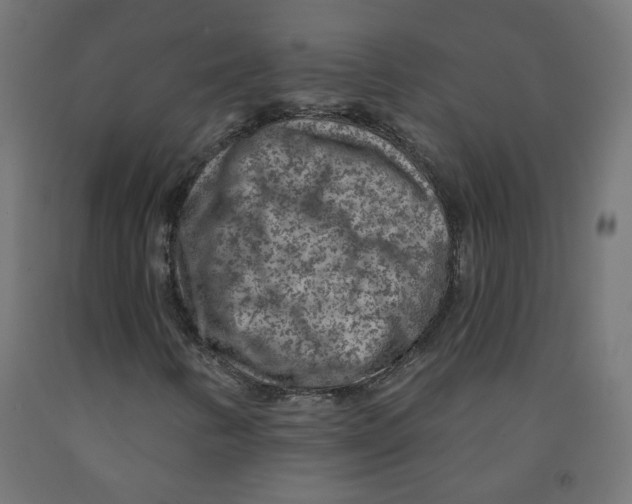X0000091851346200710031632
