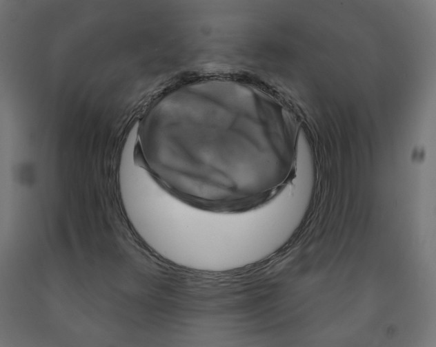 X0000091851348200710031632