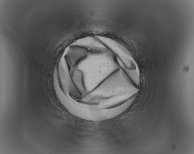 X0000091851349200710031632