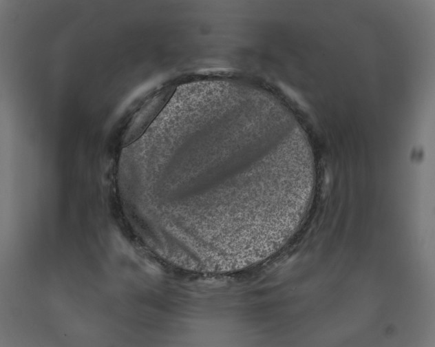 X0000091851351200710031632