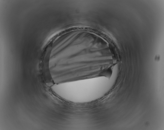 X0000091851352200710031632