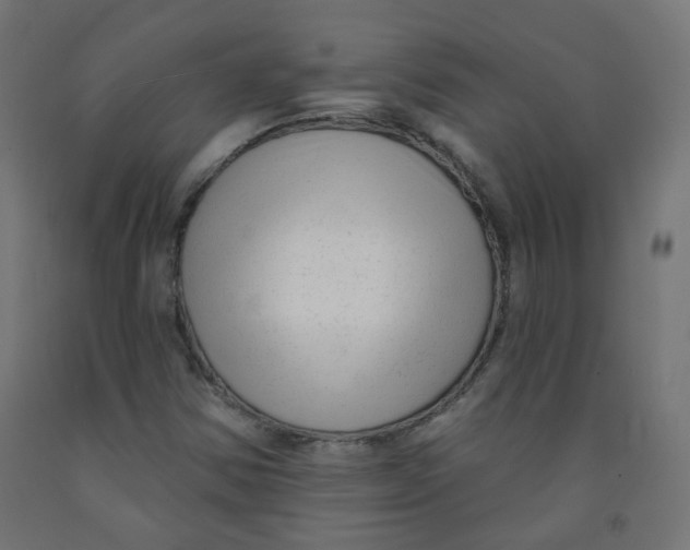 X0000091851354200710031632