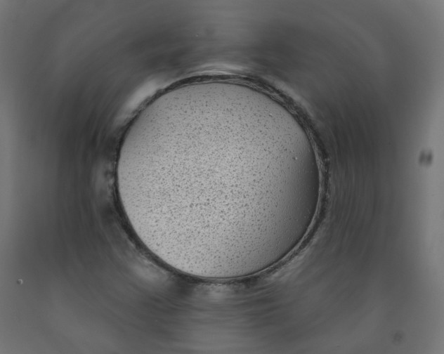 X0000091851355200710031632