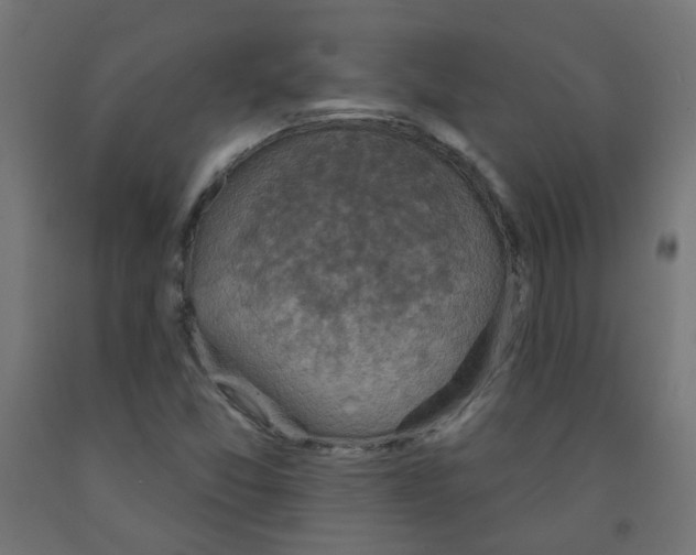 X0000091851357200710031632