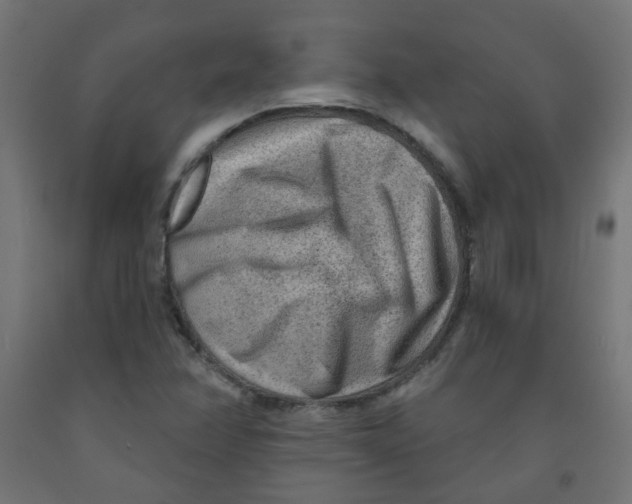 X0000091851358200710031632