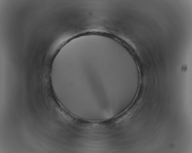 X0000091851359200710031632