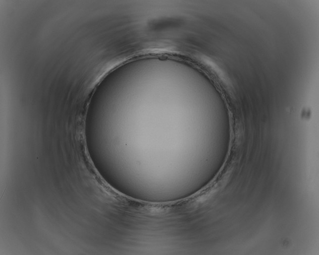 X0000091851361200710031632