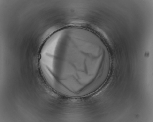 X0000091851362200710031632