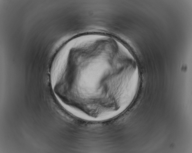 X0000091851363200710031632