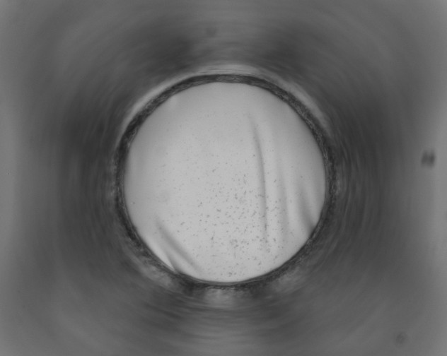 X0000091851364200710031632