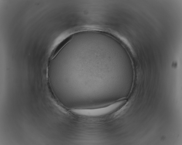 X0000091851365200710031632