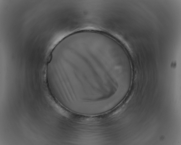 X0000091851367200710031632