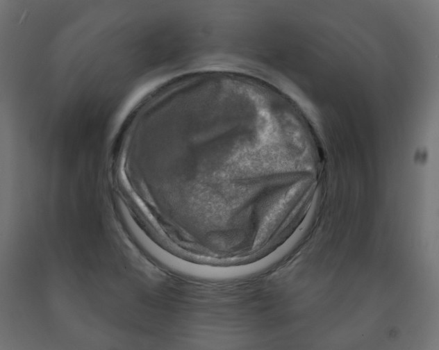 X0000091851368200710031632
