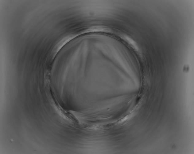 X0000091851369200710031632