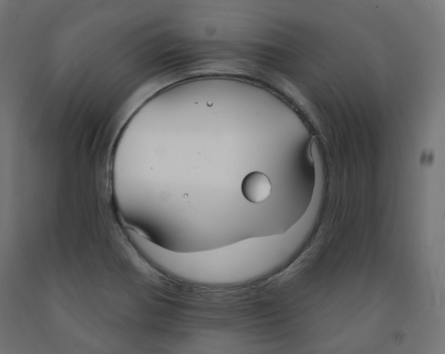 X0000091851370200710031632