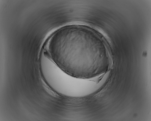 X0000091851372200710031632