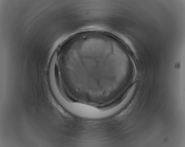 X0000091851373200710031632