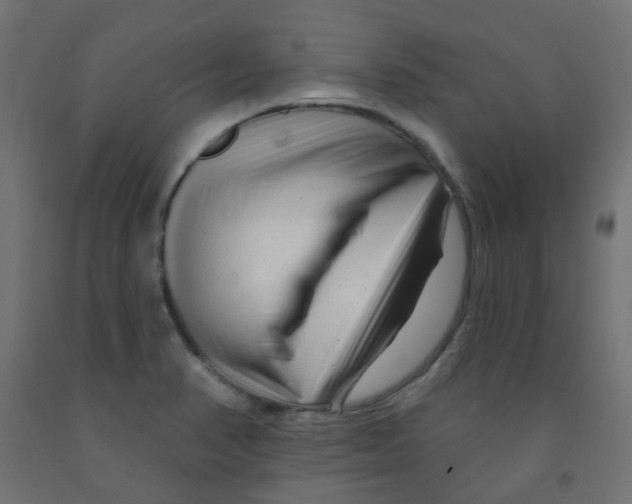 X0000091851374200710031632
