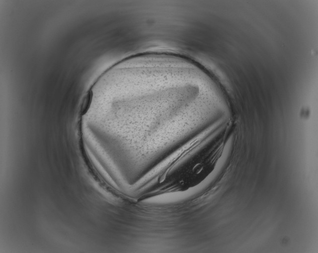 X0000091851375200710031632