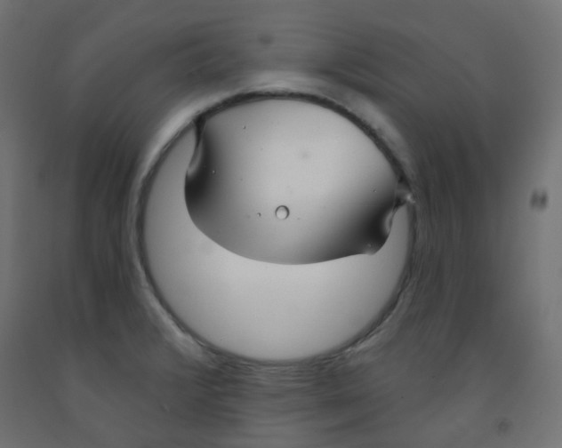 X0000091851376200710031632