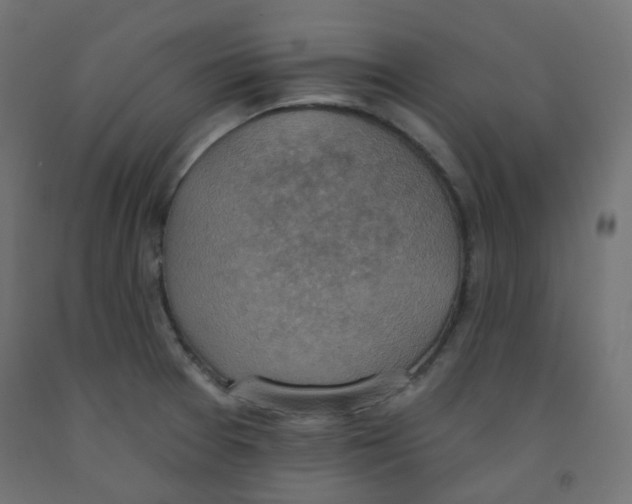 X0000091851377200710031632