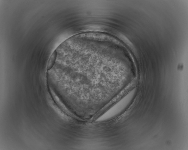X0000091851378200710031632