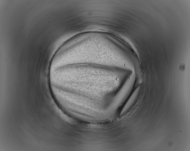 X0000091851379200710031632