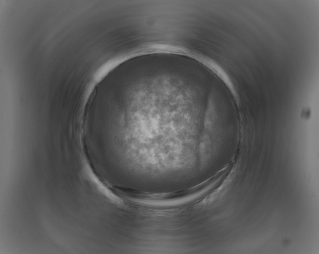 X0000091851381200710031632
