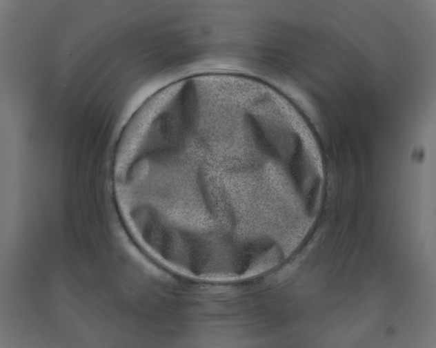 X0000091851382200710031632