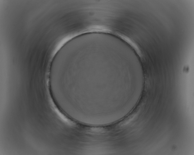 X0000091851383200710031632