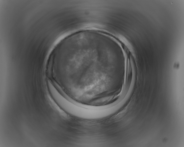 X0000091851384200710031632