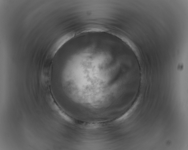 X0000091851385200710031632