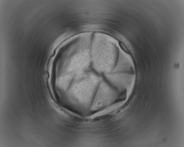 X0000091851386200710031632