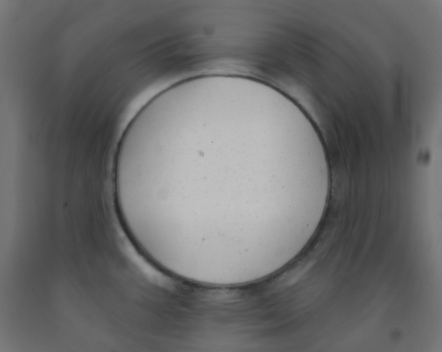 X0000091851387200710031632