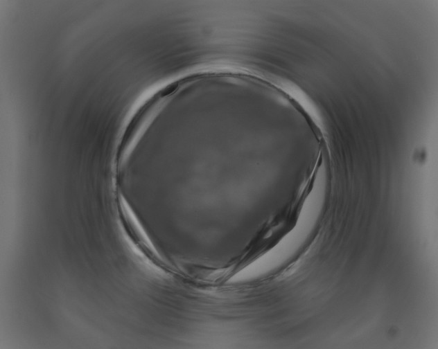 X0000091851388200710031632
